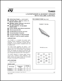 Click here to download TS4855_04 Datasheet