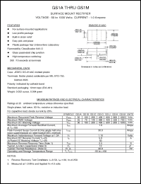 Click here to download GS1 Datasheet