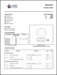 Click here to download TR2107SY43 Datasheet