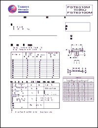 Click here to download FST6310M Datasheet