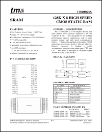 Click here to download T14M1024-10 Datasheet