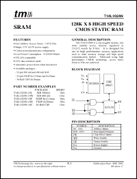 Click here to download T14L1024N-10C Datasheet