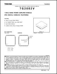 Click here to download TG2002V Datasheet