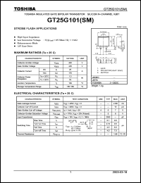 Click here to download GT25G101(SM) Datasheet