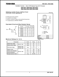 Click here to download RN1005 Datasheet