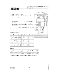 Click here to download 2SK891 Datasheet