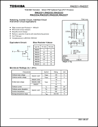 Click here to download RN2222 Datasheet