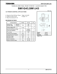 Click here to download SM1G43 Datasheet