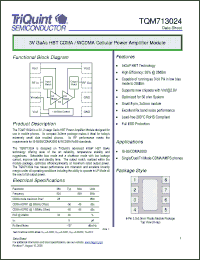 Click here to download TQM713024_06 Datasheet