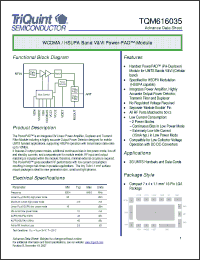 Click here to download TQM616035 Datasheet