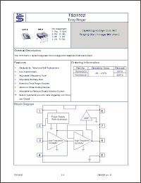 Click here to download TS31002CS Datasheet