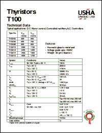 Click here to download T100/06 Datasheet