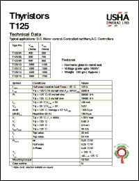 Click here to download T125/06 Datasheet