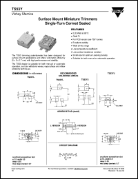 Click here to download TS53 Datasheet