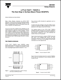 Click here to download AN1001 Datasheet