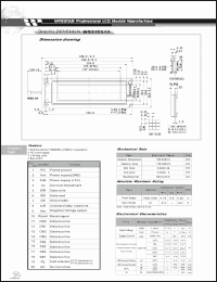 Click here to download WG24064 Datasheet