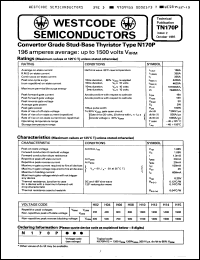 Click here to download N170PH06 Datasheet